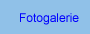 Zu den Fotogalerien