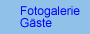 Zur Gastgalerie